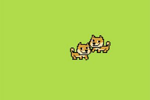 功夫猫