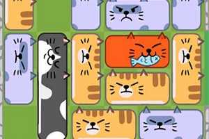 放开那猫咪