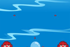 海胆刺身
