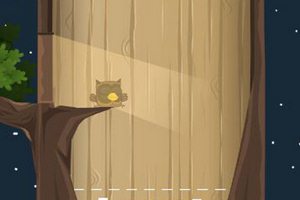 拯救猫头鹰